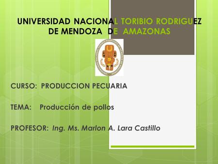 UNIVERSIDAD NACIONAL TORIBIO RODRIGUEZ DE MENDOZA DE AMAZONAS CURSO: PRODUCCION PECUARIA TEMA: Producción de pollos PROFESOR: Ing. Ms. Marlon A. Lara Castillo.