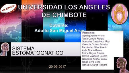 Shibu lijack Integrantes: Gómez Agurto Víctor Tapia Cancio Fiorella Gonzales Castañeda Roy Valencia Quiroz Estrella Fernández Silva Lizeth Avila.