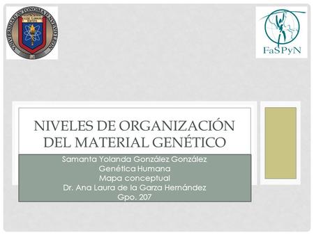 SAMANTA YOLANDA GONZÁLEZ GONZÁLEZ GENÉTICA HUMANA DR. ANA LAURA DE LA GARZA HERNÁNDEZ GPO DE FEBRERO DEL 2015 NIVELES DE ORGANIZACIÓN DEL MATERIAL.