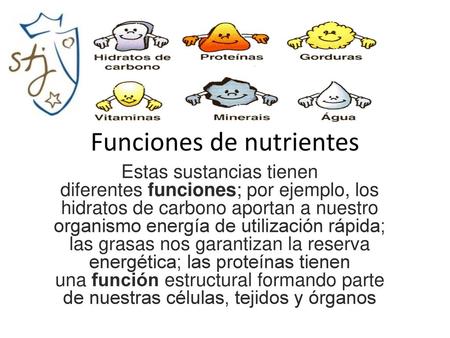Funciones de nutrientes