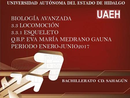 BIOLOGÍA AVANZADA 3. 3 LOCOMOCIÓN ESQUELETO Q. B. P