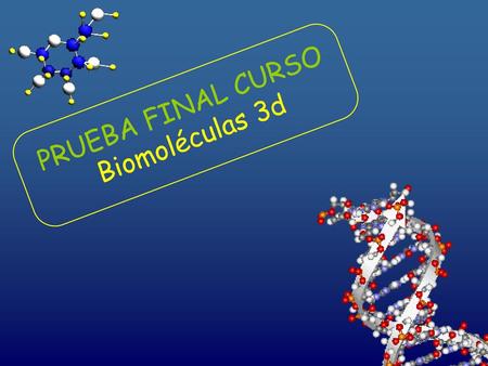PRUEBA FINAL CURSO Biomoléculas 3d.