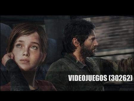 VIDEOJUEGOS (30262).