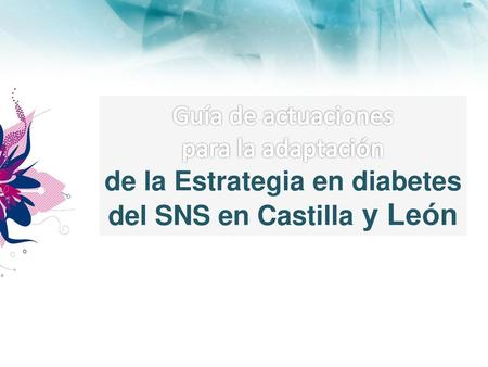 Estrategia en diabetes en Castilla y Léon