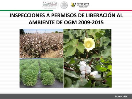 INSPECCIONES A PERMISOS DE LIBERACIÓN AL AMBIENTE DE OGM