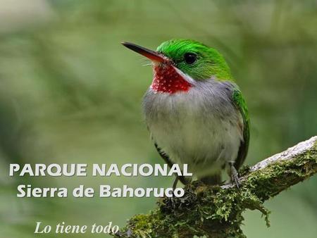 PARQUE NACIONAL Sierra de Bahoruco