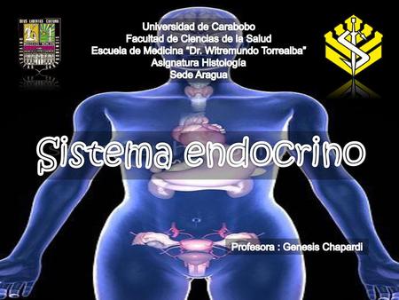 Sistema endocrino Universidad de Carabobo