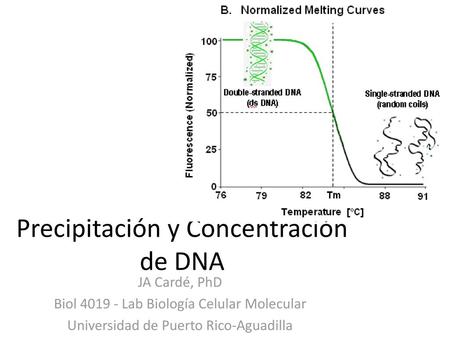 Precipitación y Concentración de DNA