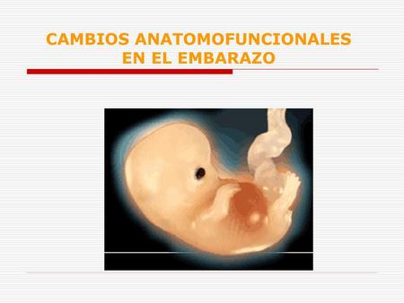 CAMBIOS ANATOMOFUNCIONALES EN EL EMBARAZO
