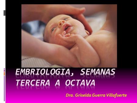 EMBRIOLOGIA, SEMANAS TERCERA A OCTAVA