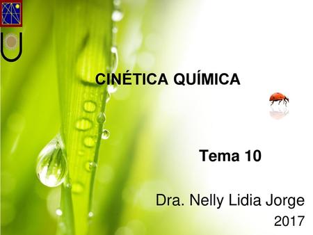 CINÉTICA QUÍMICA Tema 10 Dra. Nelly Lidia Jorge 2017.