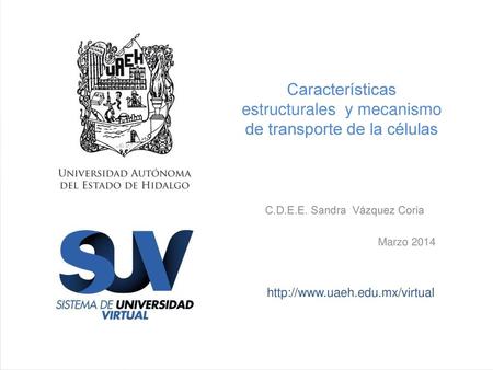 Características estructurales y mecanismo de transporte de la células