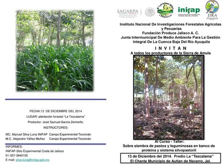 Instituto Nacional De Investigaciones Forestales Agrícolas y Pecuarias
