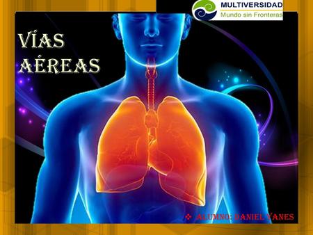 Vías aéreas Alumno: daniel Yanes.