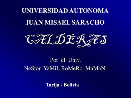 Por el Univ. NeStor YaMiL RoMeRo MaMaNi