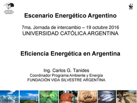 Escenario Energético Argentino Eficiencia Energética en Argentina