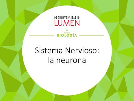 Sistema Nervioso: la neurona