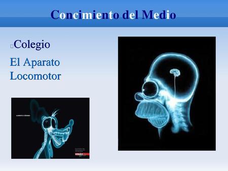 Concimiento del Medio Colegio El Aparato Locomotor.