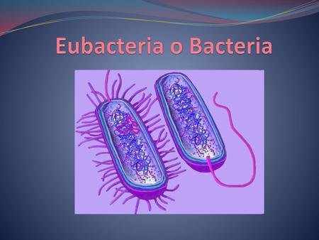Eubacteria o Bacteria.