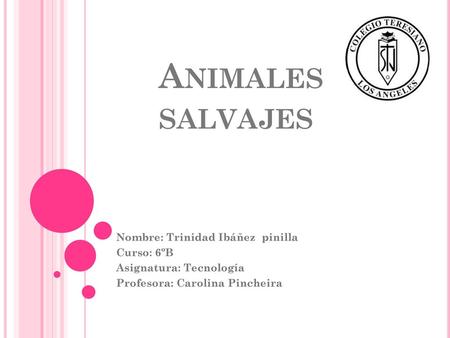 Animales salvajes Nombre: Trinidad Ibáñez pinilla Curso: 6ºB