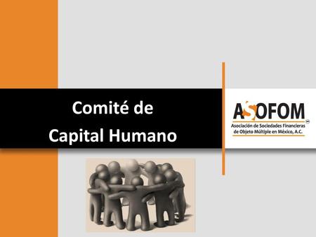 Comité de Capital Humano.