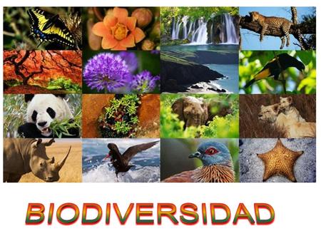 BIODIVERSIDAD.