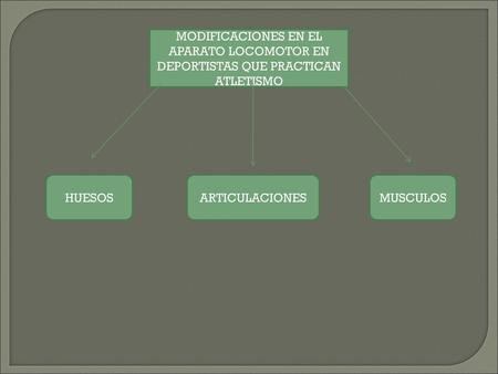 MODIFICACIONES EN EL APARATO LOCOMOTOR EN DEPORTISTAS QUE PRACTICAN ATLETISMO HUESOS ARTICULACIONES MUSCULOS.