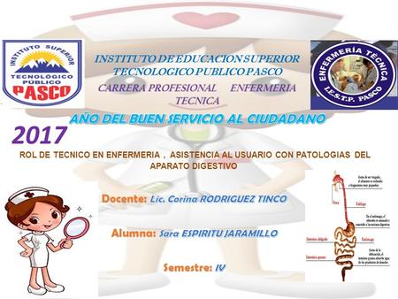 INSTITUTO DE EDUCACION SUPERIOR TECNOLOGICO PUBLICO PASCO CARRERA PROFESIONAL ENFERMERIA TECNICA 2017.