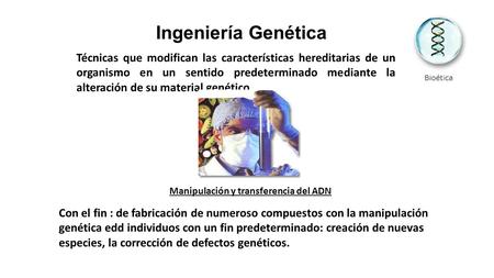 Ingeniería Genética Técnicas que modifican las características hereditarias de un organismo en un sentido predeterminado mediante la alteración de su material.