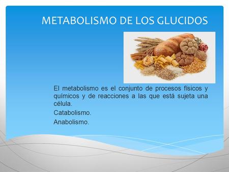 METABOLISMO DE LOS GLUCIDOS El metabolismo es el conjunto de procesos físicos y químicos y de reacciones a las que está sujeta una célula. Catabolismo.