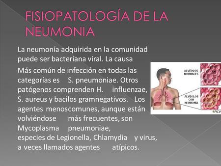 La neumonía adquirida en la comunidad puede ser bacteriana viral. La causa Más común de infección en todas las categorías esS. pneumoniae. Otros patógenos.