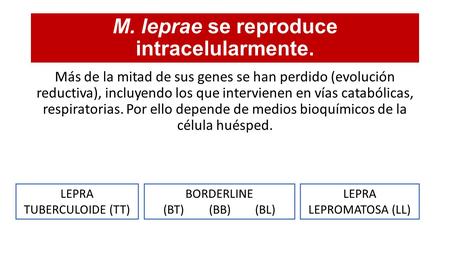 M. leprae se reproduce intracelularmente. Más de la mitad de sus genes se han perdido (evolución reductiva), incluyendo los que intervienen en vías catabólicas,