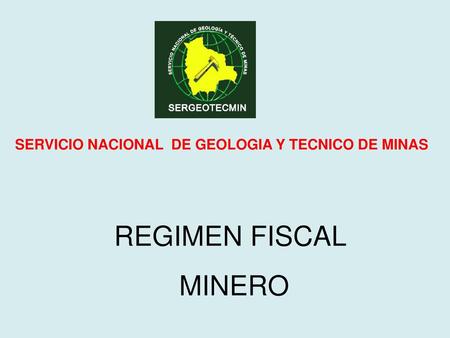 SERVICIO NACIONAL  DE GEOLOGIA Y TECNICO DE MINAS