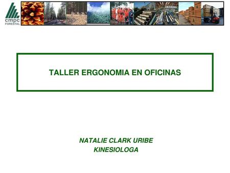 TALLER ERGONOMIA EN OFICINAS