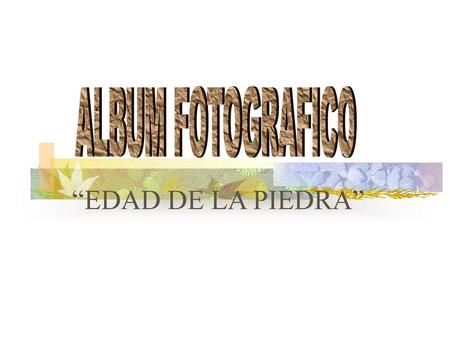 ALBUM FOTOGRAFICO “EDAD DE LA PIEDRA”.