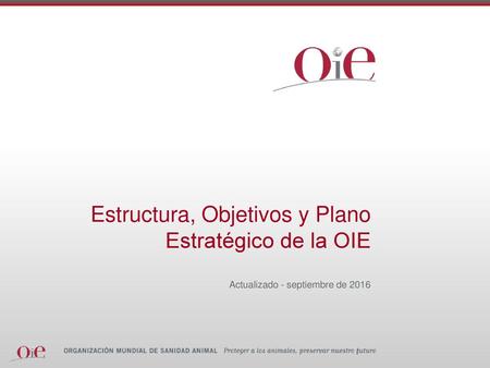 Estructura, Objetivos y Plano Estratégico de la OIE