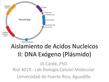 Aislamiento de Acidos Nucleicos II: DNA Exógeno (Plásmido)