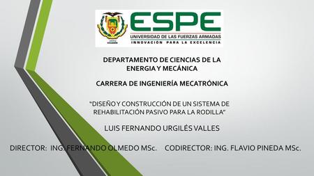 LUIS FERNANDO URGILÉS VALLES