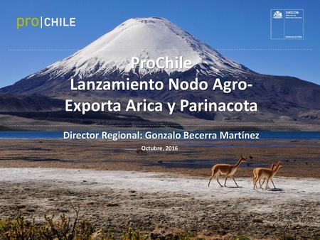 ProChile Lanzamiento Nodo Agro-Exporta Arica y Parinacota
