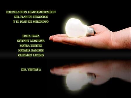 FORMULACION E IMPLEMENTACION DEL PLAN DE NEGOCIOS