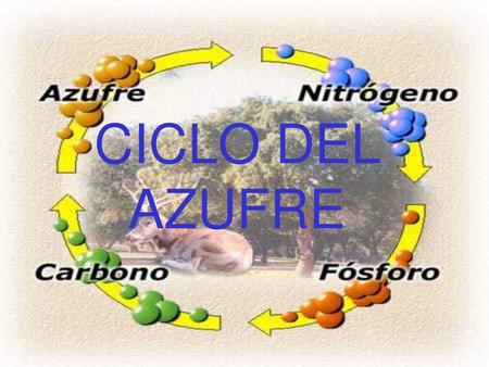 CICLO DEL AZUFRE.