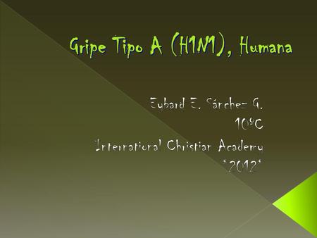 Gripe Tipo A (H1N1), Humana