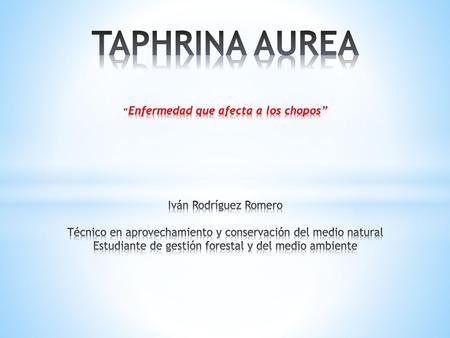 TAPHRINA AUREA “Enfermedad que afecta a los chopos” Iván Rodríguez Romero Técnico en aprovechamiento y conservación del medio natural Estudiante.