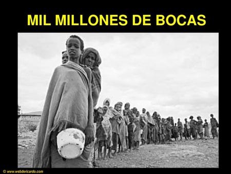MIL MILLONES DE BOCAS © www.webdericardo.com.