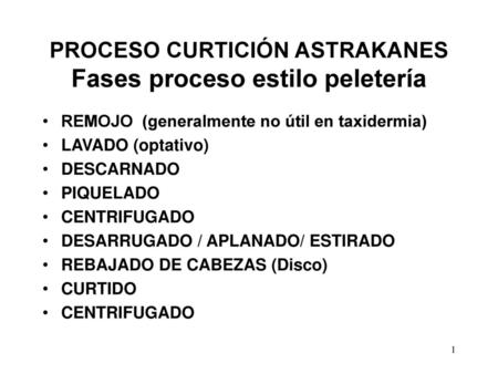 PROCESO CURTICIÓN ASTRAKANES Fases proceso estilo peletería