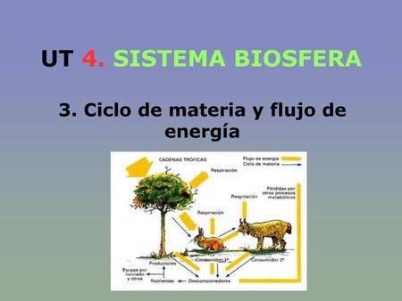 3. Ciclo de materia y flujo de energía