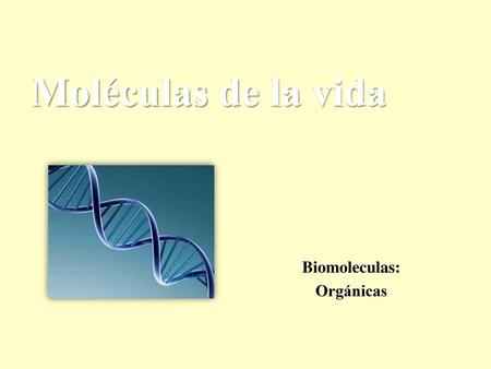 Biomoleculas: Orgánicas