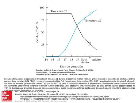 Evolución temporal de la aparición de timocitos yδ timocitos αβ durante el desarrollo fetal de ratón. El gráfico muestra el porcentaje de células en el.