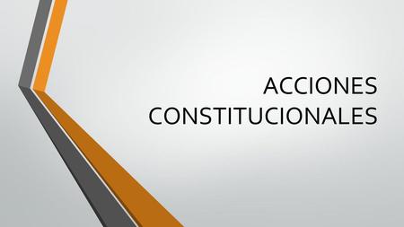 ACCIONES CONSTITUCIONALES