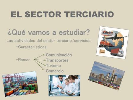 Las actividades del sector terciario/servicios: